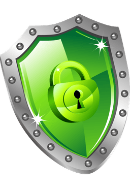 Secure voting system